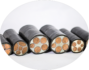 东北香蕉成人视频